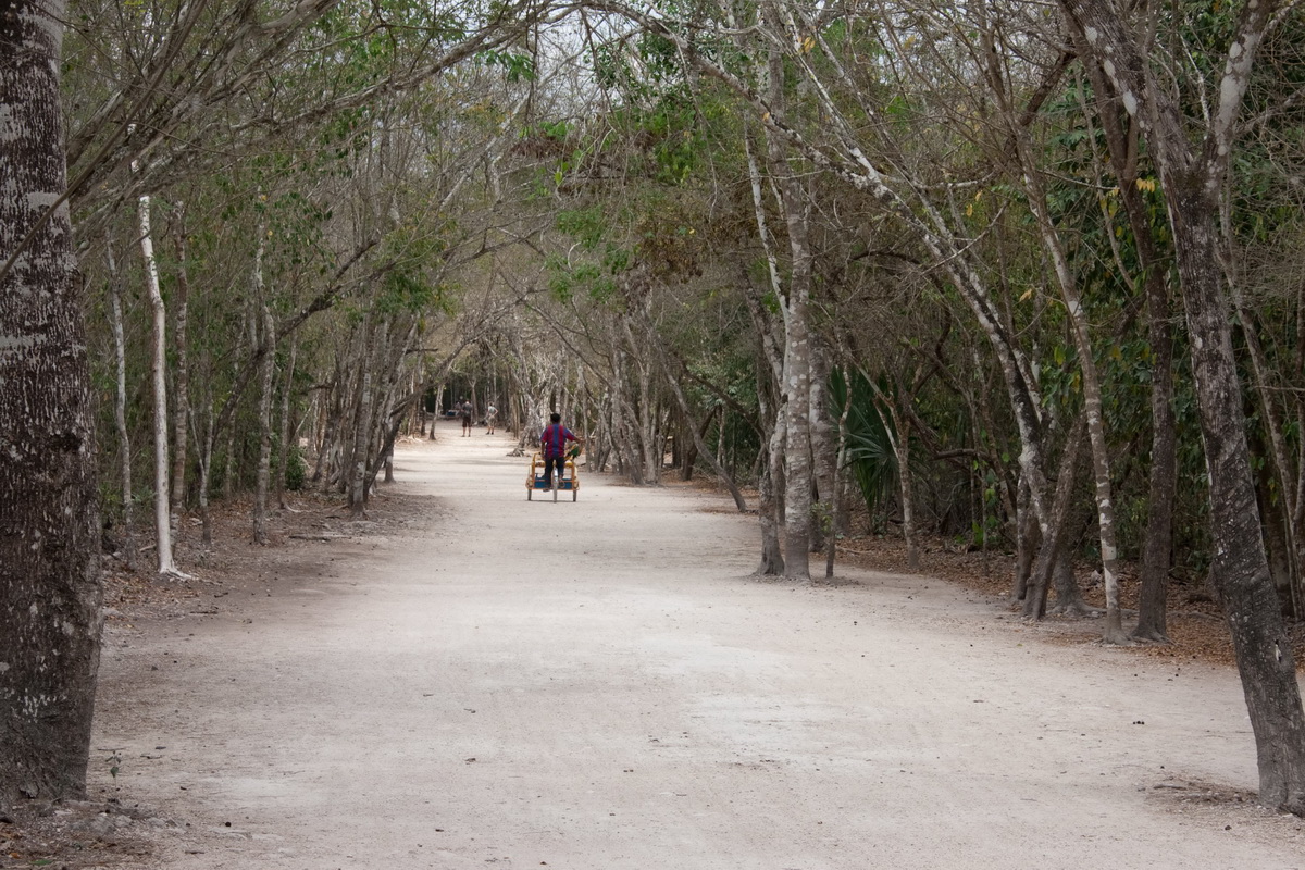 coba-mayan-ruins-8